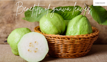 Benefits of guava leaves